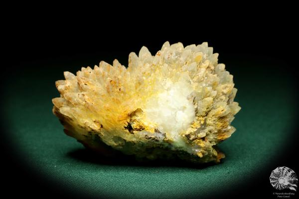 Calcit XX (19948) ein Mineral aus Deutschland | Mineralien | aus Deutschland