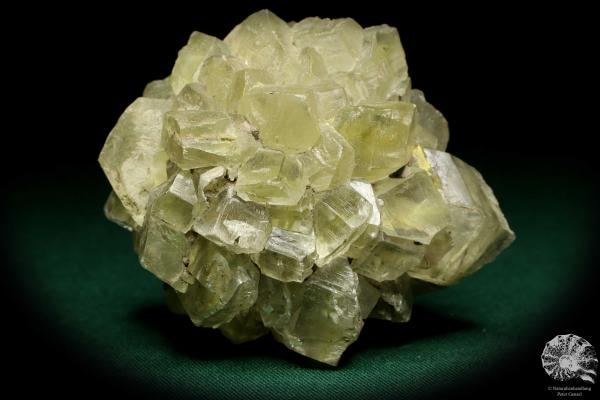 Gypsum XX a mineral