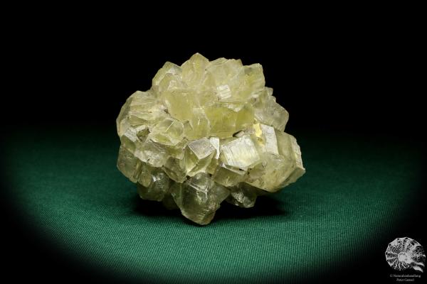 Gypsum XX a mineral