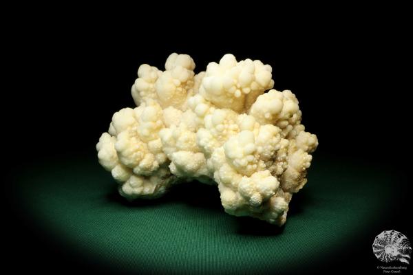 Aragonite (19955) a mineral from Morocco | Minerals | Global