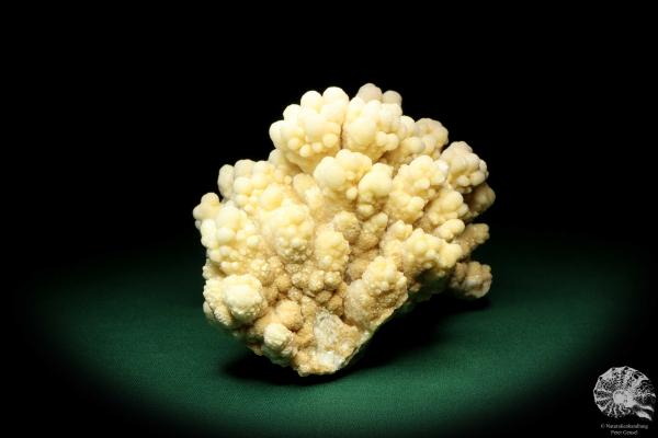 Aragonite (19955) a mineral from Morocco | Minerals | Global