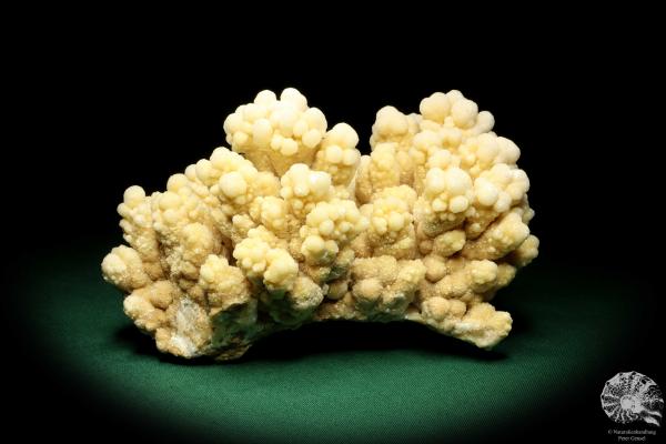 Aragonite (19955) a mineral from Morocco | Minerals | Global