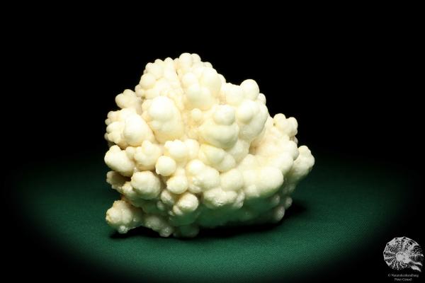 Aragonite (19955) a mineral from Morocco | Minerals | Global