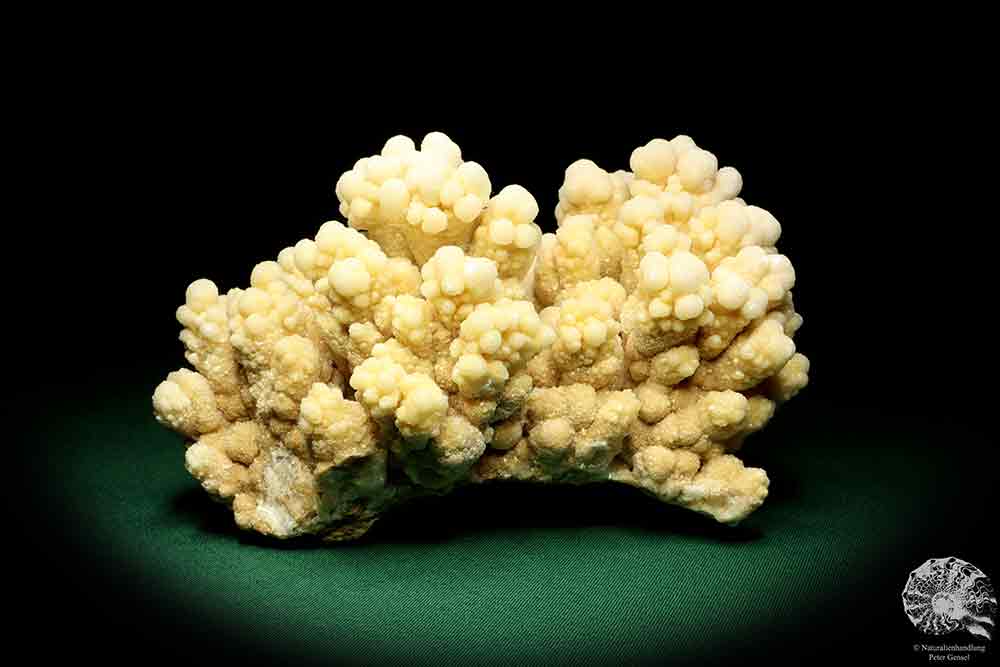 Aragonite XX a mineral