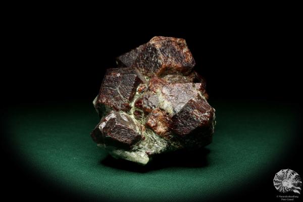 Almandin XX (19965) ein Mineral aus Österreich | Mineralien | Weltweit