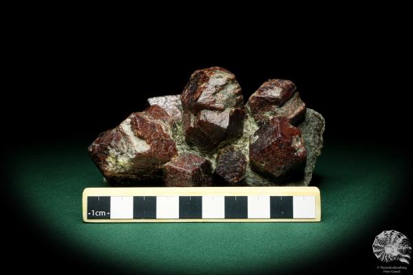 Almandine XX (19965) a mineral from Austria | Minerals | Global