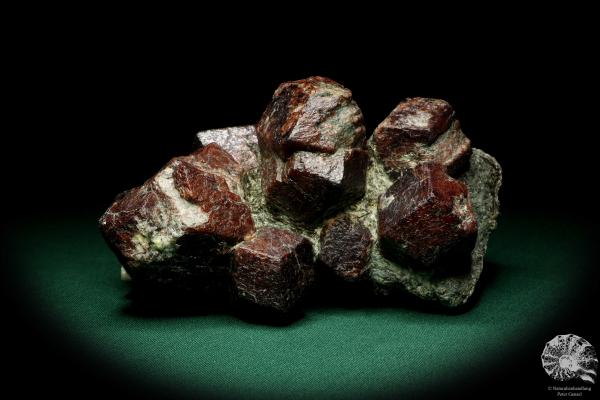 Almandine XX a mineral