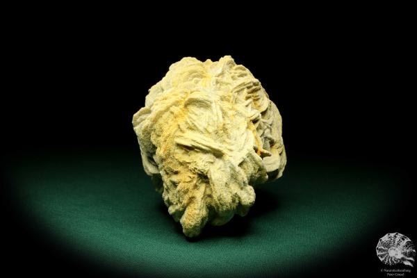 Barite (19966) a mineral from Germany | Minerals | From Germany