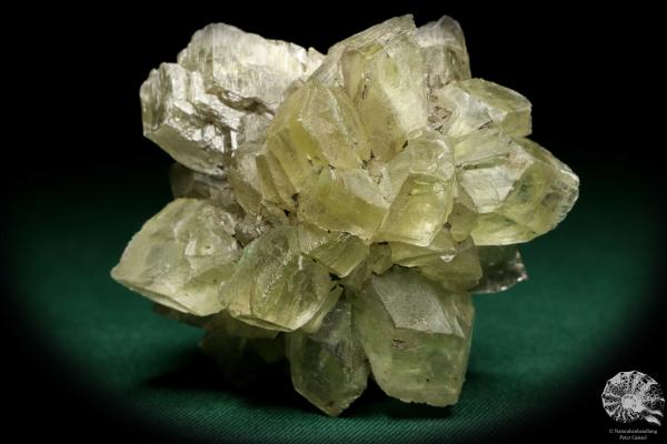 Gypsum XX a mineral