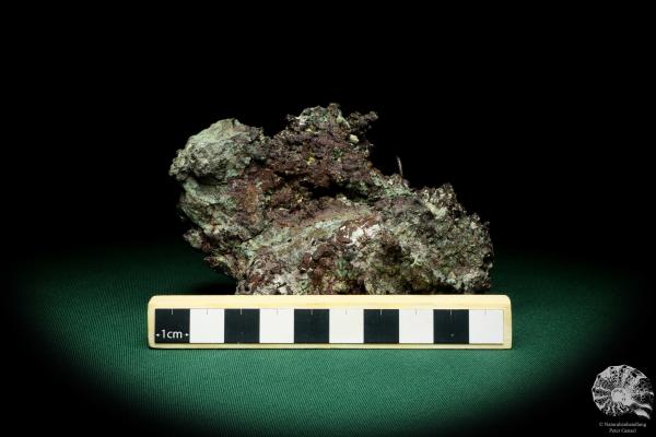 Gediegenes Kupfer ein Mineral