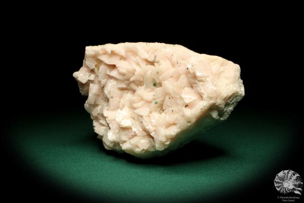 Dolomite XX (19977) a mineral from USA | Minerals | Global