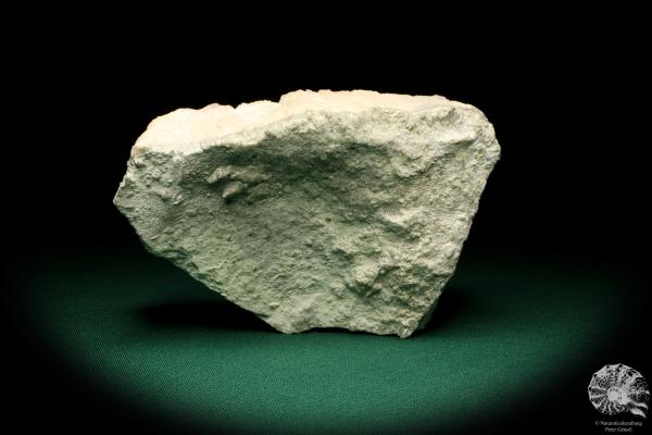 Dolomite XX (19977) a mineral from USA | Minerals | Global