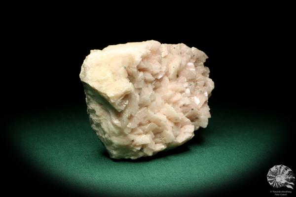 Dolomite XX (19977) a mineral from USA | Minerals | Global