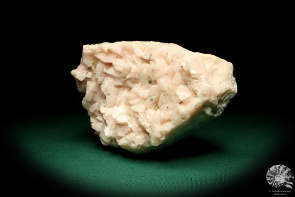 Dolomite XX a mineral