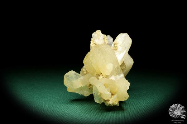 Stilbite XX on Heulandite XX (19979) a mineral from India | Minerals | Global