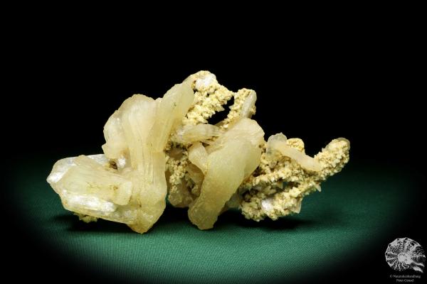 Stilbite XX on Heulandite XX (19979) a mineral from India | Minerals | Global