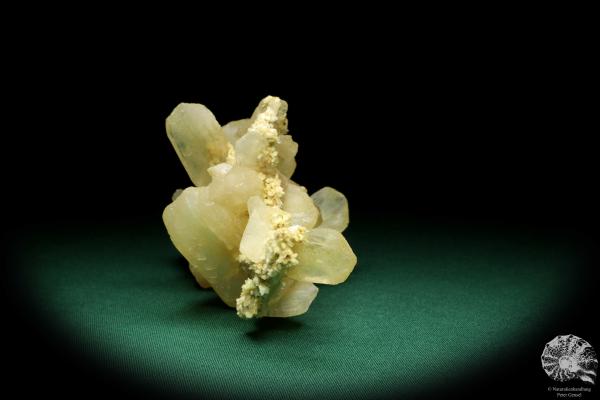 Stilbite XX on Heulandite XX (19979) a mineral from India | Minerals | Global