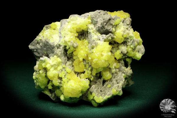 Schwefel XX (19980) ein Mineral aus Polen | Mineralien | Weltweit