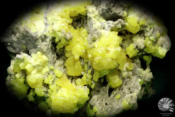 Sulfur XX a mineral