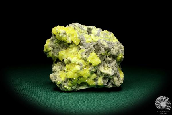 Sulfur XX a mineral