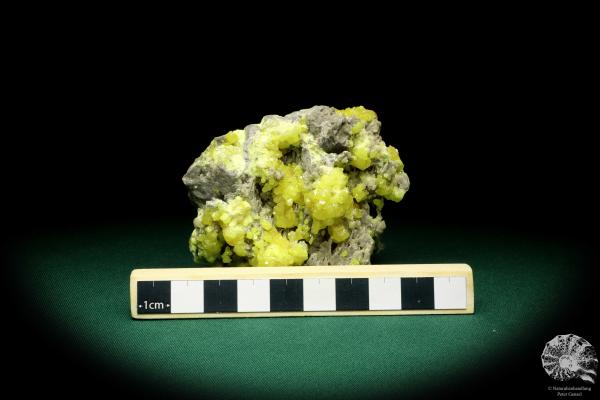 Sulfur XX a mineral