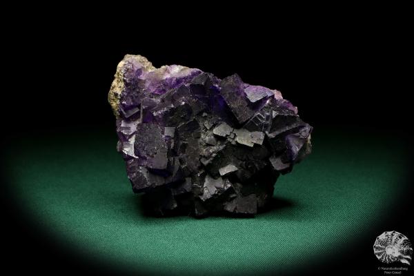 Fluorite XX (19984) a mineral from Mexico | Minerals | Global