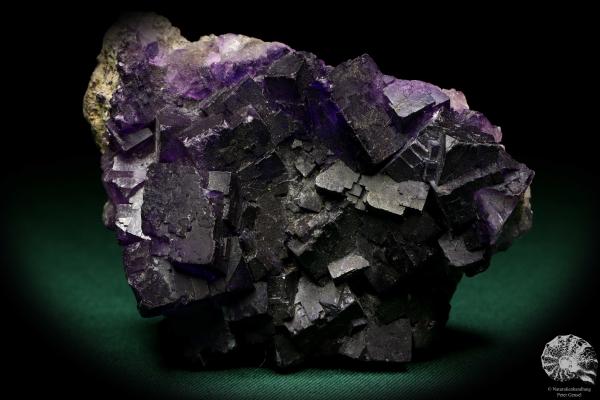 Fluorite XX (19984) a mineral from Mexico | Minerals | Global