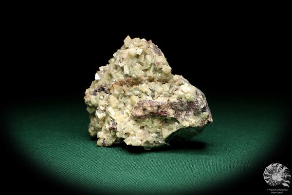 Dolomite XX (19986) a mineral from Germany | Minerals | From Germany