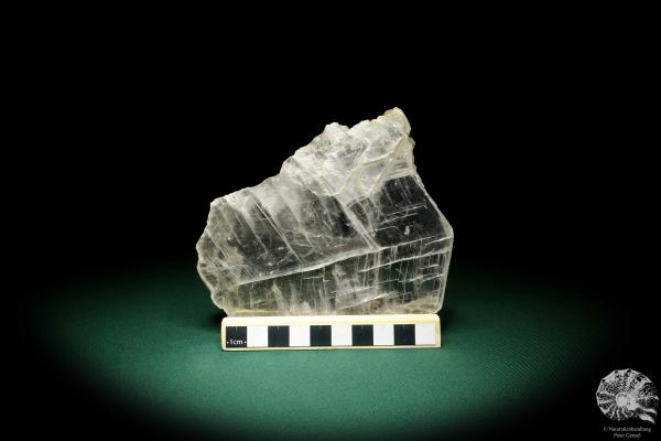 Gypsum XX (20003) a mineral from Germany | Minerals | From Germany