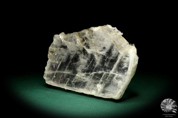 Gypsum XX a mineral