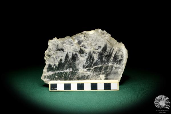 Gypsum XX a mineral