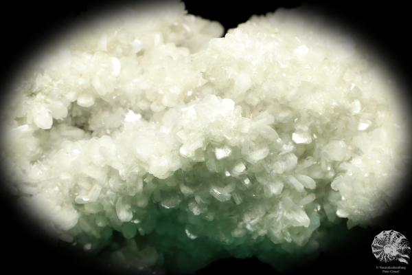 Zeolites XX (20006) a mineral from Russia | Minerals | Global