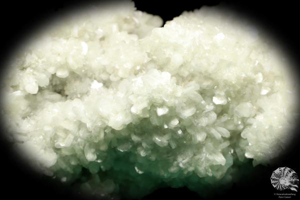 Zeolites XX a mineral