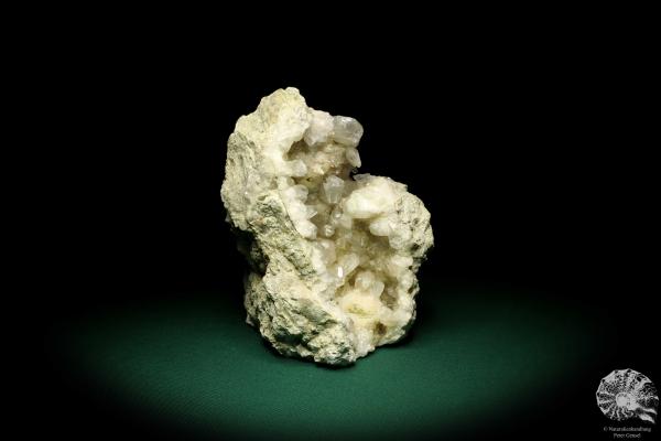 Calcit XX (20007) ein Mineral aus Schweden | Mineralien | Weltweit