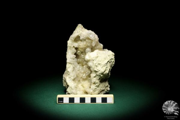 Calcit XX (20007) ein Mineral aus Schweden | Mineralien | Weltweit