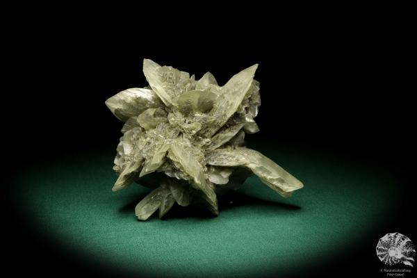 Gypsum XX (20010) a mineral from Germany | Minerals | From Germany