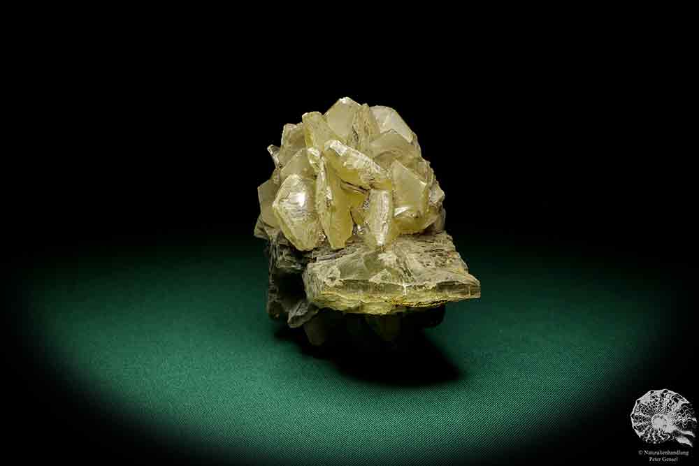 Gypsum XX a mineral