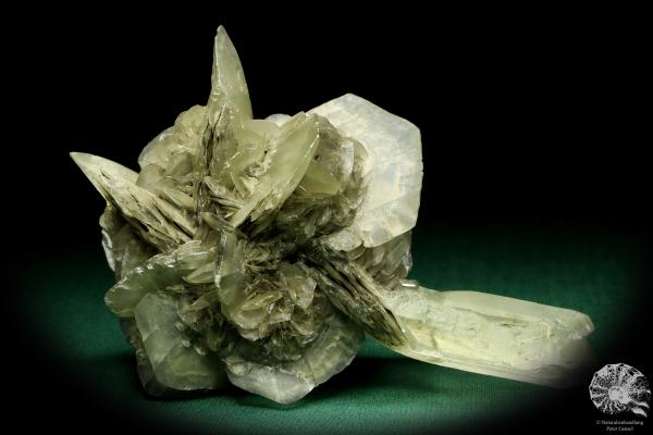 Gypsum XX a mineral