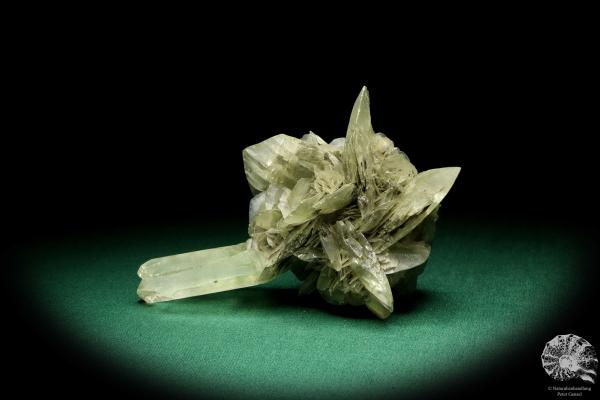 Gypsum XX a mineral