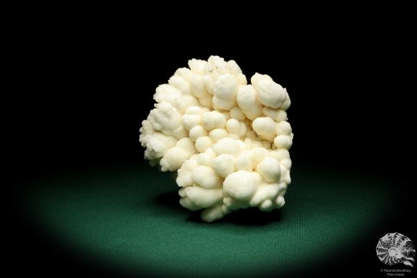 Aragonite (20020) a mineral from Morocco | Minerals | Global