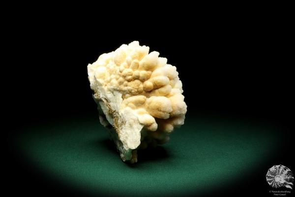 Aragonite (20020) a mineral from Morocco | Minerals | Global