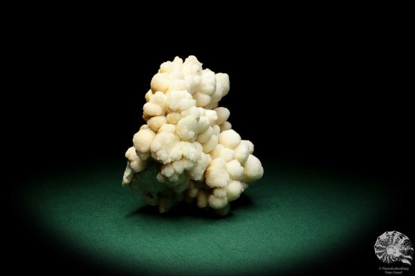 Aragonite (20020) a mineral from Morocco | Minerals | Global