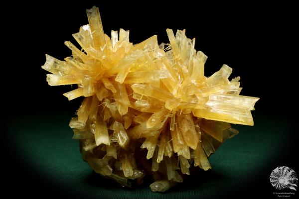 Gypsum XX a mineral