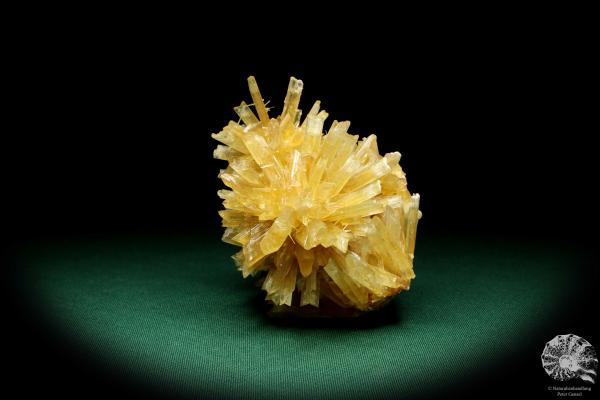 Gypsum XX a mineral