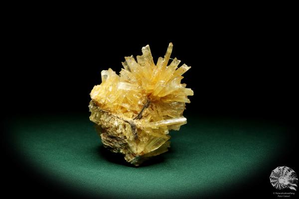 Gypsum XX a mineral