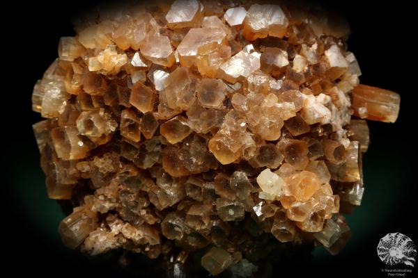 Aragonite XX (20023) a mineral from Morocco | Minerals | Global