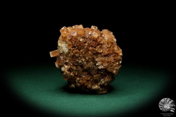 Aragonite XX (20023) a mineral from Morocco | Minerals | Global