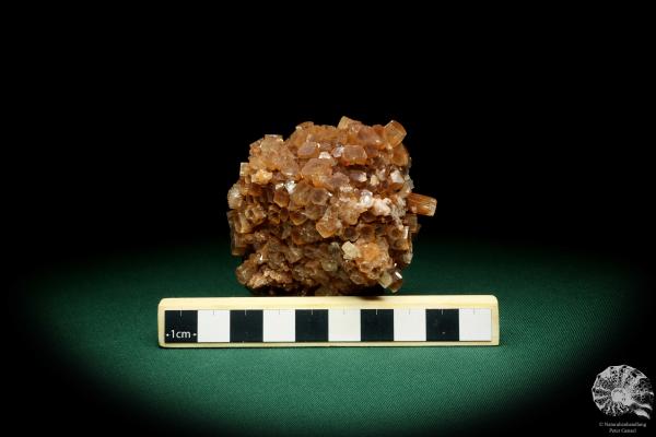 Aragonite XX a mineral