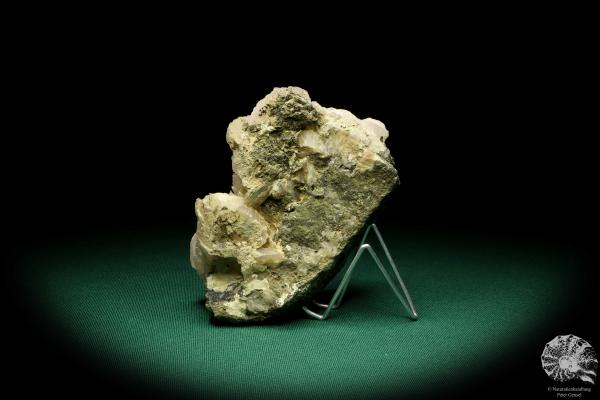 Calcit XX (20024) ein Mineral aus Russland | Mineralien | Weltweit