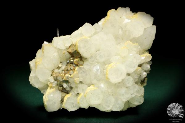 Quarz XX mit Pyrit XX (20027) ein Mineral aus Rumänien | Mineralien | Weltweit